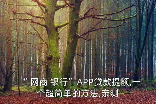 “ 網(wǎng)商 銀行”APP貸款提額,一個超簡單的方法,親測