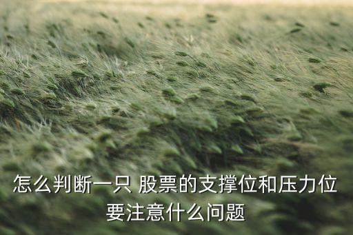 支撐點(diǎn)股票,怎么看股票有沒有支撐點(diǎn)