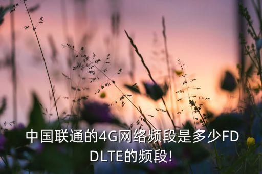  中國(guó)聯(lián)通的4G網(wǎng)絡(luò)頻段是多少FDDLTE的頻段!