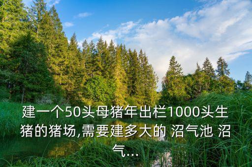 沼氣投資,國(guó)家對(duì)沼氣行業(yè)的投資情況