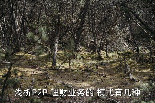 淺析P2P 理財業(yè)務的 模式有幾種