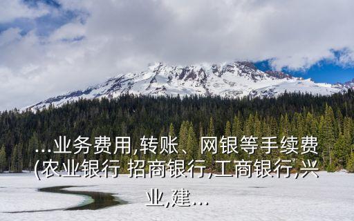 ...業(yè)務(wù)費用,轉(zhuǎn)賬、網(wǎng)銀等手續(xù)費(農(nóng)業(yè)銀行 招商銀行,工商銀行,興業(yè),建...