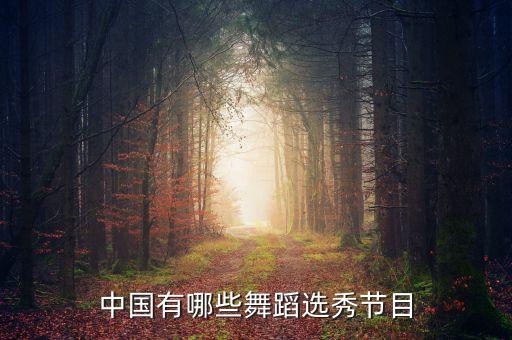 2011年第一季中國好聲音廣告招標