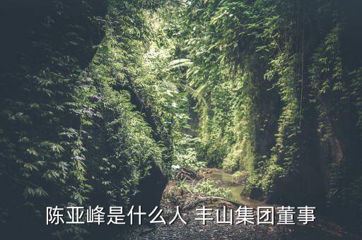 陳亞峰是什么人 豐山集團(tuán)董事