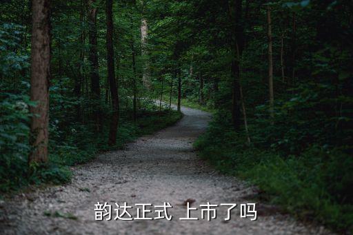 韻達正式 上市了嗎