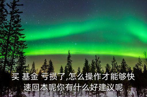 買 基金 虧損了,怎么操作才能夠快速回本呢你有什么好建議呢