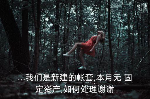 ...我們是新建的帳套,本月無 固定資產,如何處理謝謝