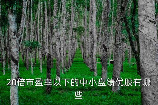 20倍市盈率以下的中小盤績(jī)優(yōu)股有哪些