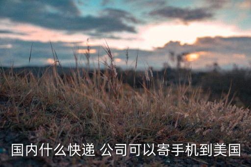 國內(nèi)什么快遞 公司可以寄手機到美國