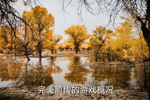  完美前傳的游戲概況