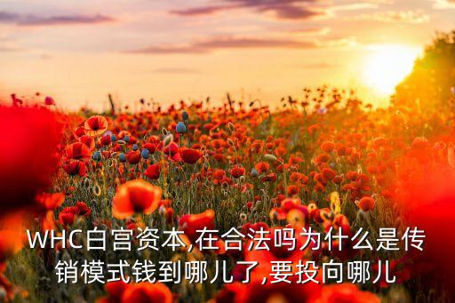 WHC白宮資本,在合法嗎為什么是傳銷(xiāo)模式錢(qián)到哪兒了,要投向哪兒