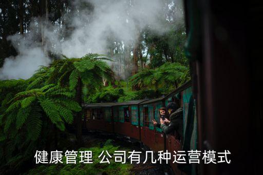  健康管理 公司有幾種運(yùn)營(yíng)模式