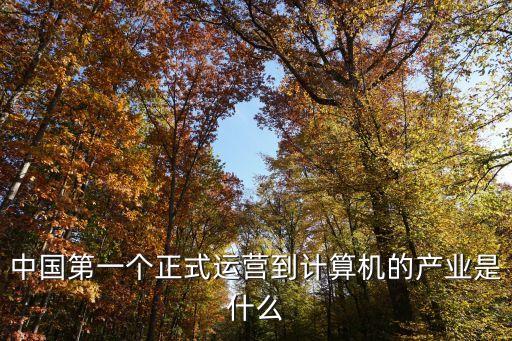 中國(guó)集成控股