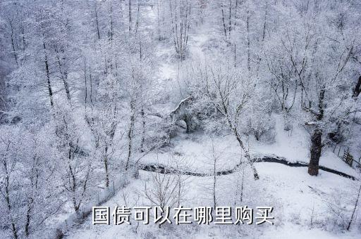  國(guó)債可以在哪里購(gòu)買(mǎi)