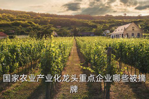 國(guó)家農(nóng)業(yè)產(chǎn)業(yè)化龍頭重點(diǎn)企業(yè)哪些被摘牌