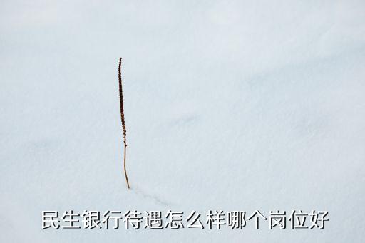  民生銀行待遇怎么樣哪個崗位好