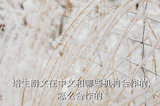 中國(guó)培生,培生中國(guó)怎么樣