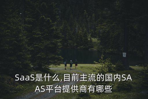 SaaS是什么,目前主流的國(guó)內(nèi)SAAS平臺(tái)提供商有哪些