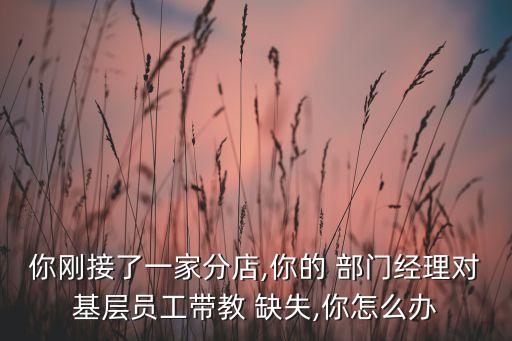 你剛接了一家分店,你的 部門經(jīng)理對基層員工帶教 缺失,你怎么辦