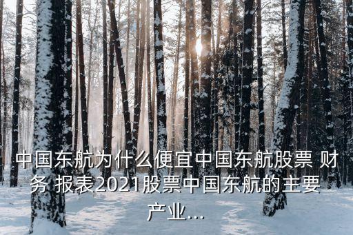 航空公司財務(wù)報表分析,美國西南航空公司財務(wù)報表