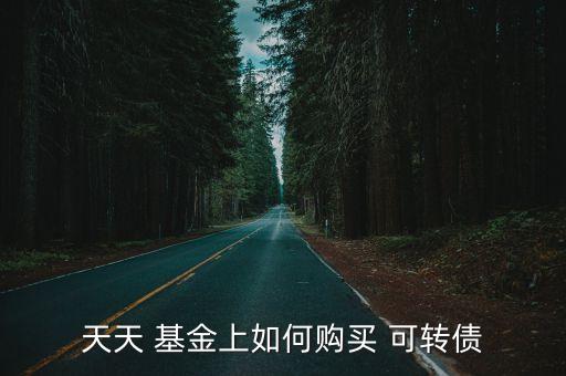 可轉債基金怎么操作