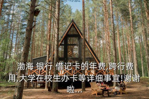  渤海 銀行 借記卡的年費,跨行費用,大學在校生辦卡等詳細事宜!謝謝啦...