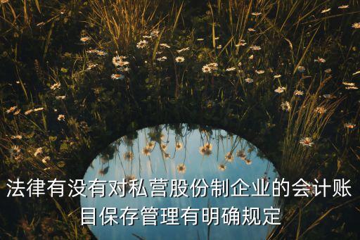 法律有沒有對私營股份制企業(yè)的會(huì)計(jì)賬目保存管理有明確規(guī)定