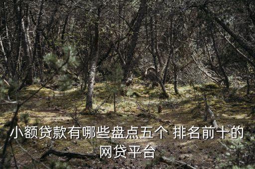 消費(fèi)金融公司排名,國(guó)內(nèi)消費(fèi)金融公司排名
