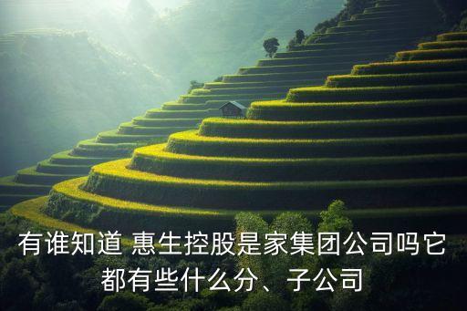 有誰知道 惠生控股是家集團(tuán)公司嗎它都有些什么分、子公司