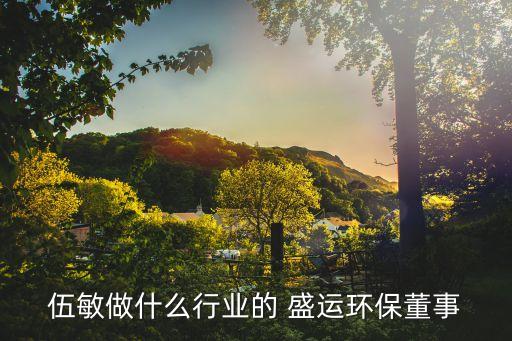 伍敏做什么行業(yè)的 盛運環(huán)保董事