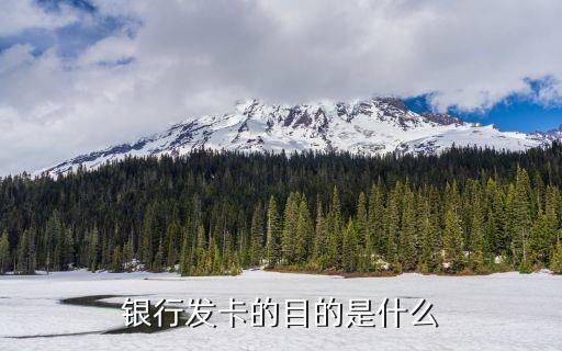 銀行發(fā)卡的目的是什么