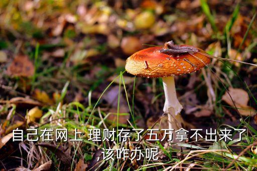 自己在網(wǎng)上 理財(cái)存了五萬拿不出來了,該咋辦呢