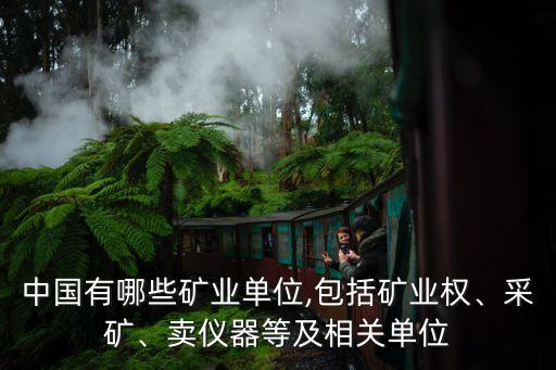 中國有哪些礦業(yè)單位,包括礦業(yè)權、采礦、賣儀器等及相關單位