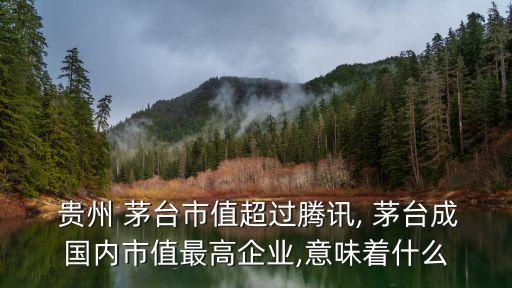 貴州茅臺上市公司