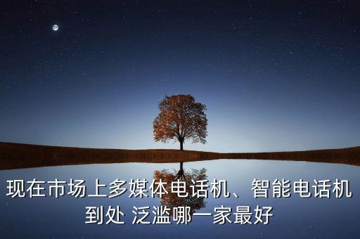 現(xiàn)在市場(chǎng)上多媒體電話機(jī)、智能電話機(jī)到處 泛濫哪一家最好