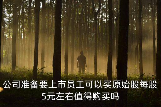 公司準(zhǔn)備要上市員工可以買(mǎi)原始股每股5元左右值得購(gòu)買(mǎi)嗎
