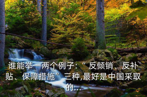 誰能舉一兩個例子:“ 反傾銷、反補貼、保障措施”三種,最好是中國采取的...