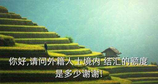 你好,請(qǐng)問外籍人士境內(nèi) 結(jié)匯的額度是多少謝謝!