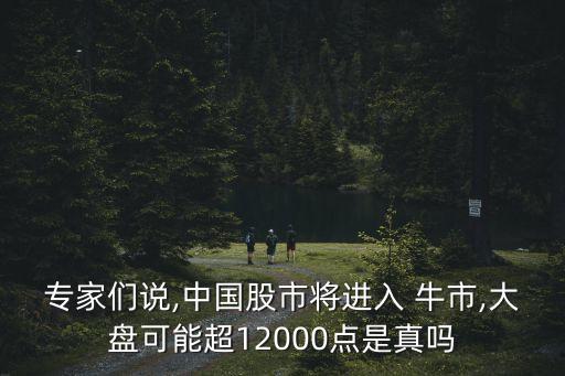 專家們說,中國股市將進(jìn)入 牛市,大盤可能超12000點是真嗎