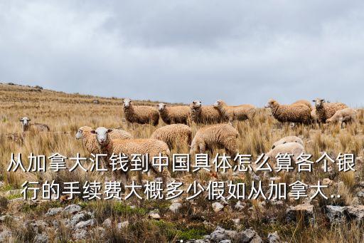 從加拿大匯錢(qián)到中國(guó)具體怎么算各個(gè)銀行的手續(xù)費(fèi)大概多少假如從加拿大...