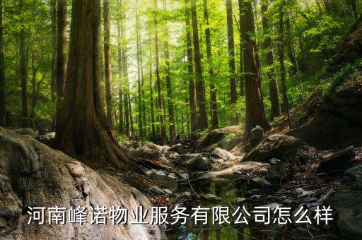 河南峰諾物業(yè)服務(wù)有限公司怎么樣