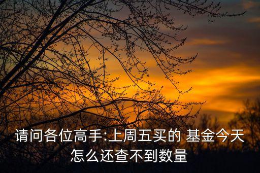 請(qǐng)問(wèn)各位高手:上周五買(mǎi)的 基金今天怎么還查不到數(shù)量