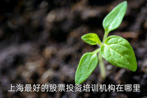  上海最好的股票投資培訓(xùn)機構(gòu)在哪里