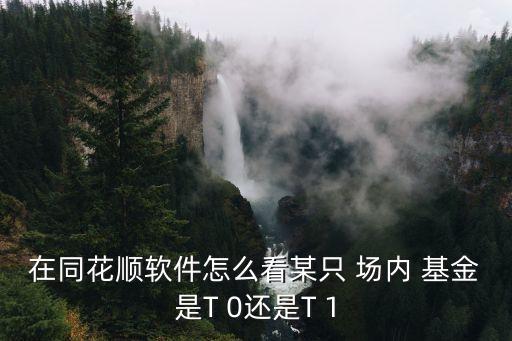 在同花順軟件怎么看某只 場(chǎng)內(nèi) 基金是T 0還是T 1