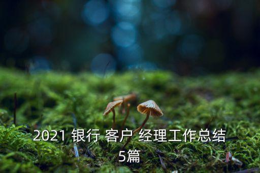 2021 銀行 客戶 經(jīng)理工作總結(jié)5篇
