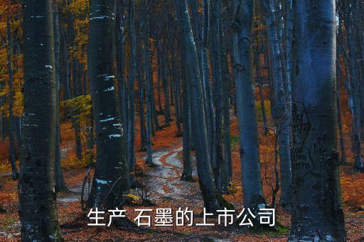 生產(chǎn) 石墨的上市公司