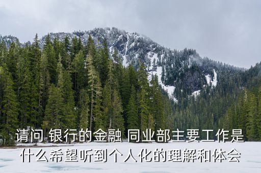 請問 銀行的金融 同業(yè)部主要工作是什么希望聽到個(gè)人化的理解和體會
