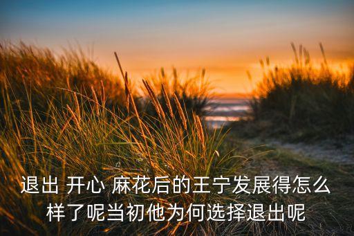 退出 開心 麻花后的王寧發(fā)展得怎么樣了呢當(dāng)初他為何選擇退出呢