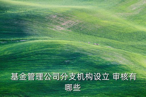  基金管理公司分支機構(gòu)設(shè)立 審核有哪些