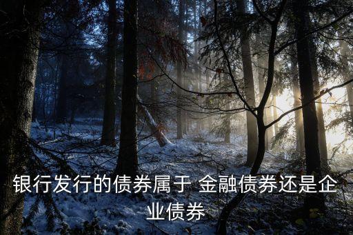 銀行發(fā)行的債券屬于 金融債券還是企業(yè)債券